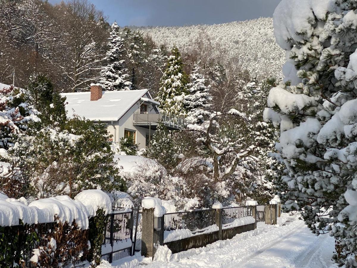 Ferienhaus Pfaelzer Wald Weyher Apartment Exterior foto