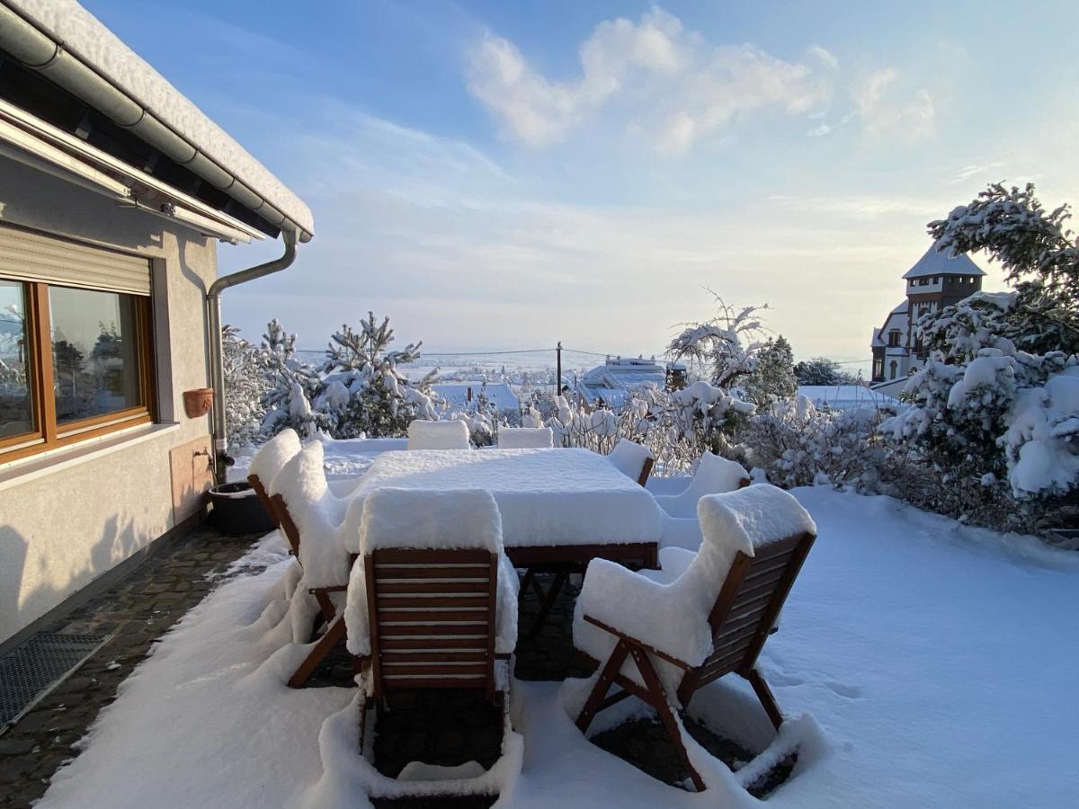 Ferienhaus Pfaelzer Wald Weyher Apartment Exterior foto